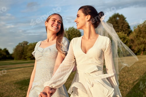 Preview: Charming bride in a white dress with white veil and a bridesmaid in a blue dress are walking in a