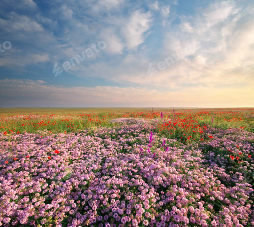 Preview: Spring flowers in meadow.