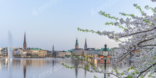 Preview: Beautiful view of Hamburg town hall - Rathaus and Alster river at spring earning evening