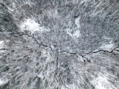 Preview: Top view of a snow covered winter forest