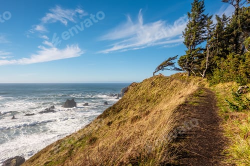Preview: USA Pacific coast landscape, Oregon