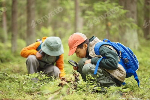 Preview: Two Children Exploring Forest Floor with Magnifying Glass during Nature Walk
