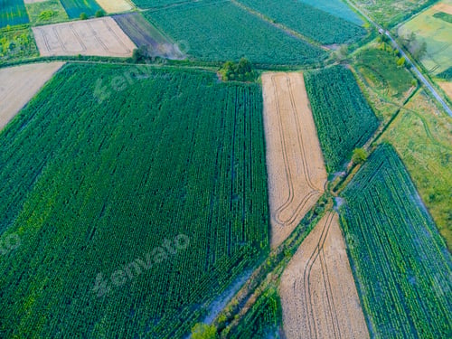 Preview: Aerial view of green fields