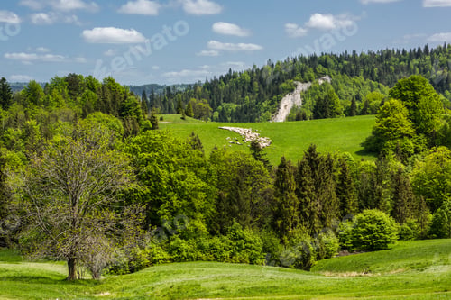 Preview: Pieniny National Park in Carpathian Mountains in Poland at summer day