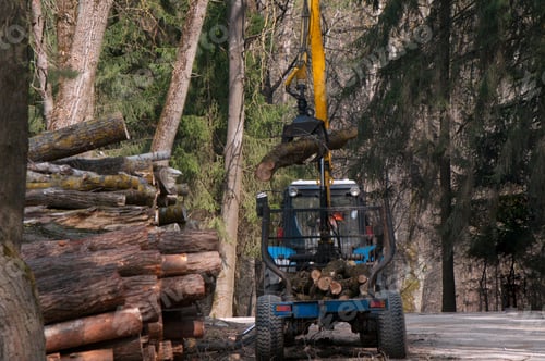 Preview: special machine for logging,