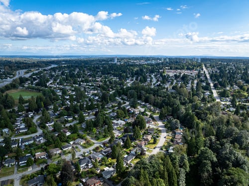 Preview: Aerial view of suburban neighborhood with clear blue sky.