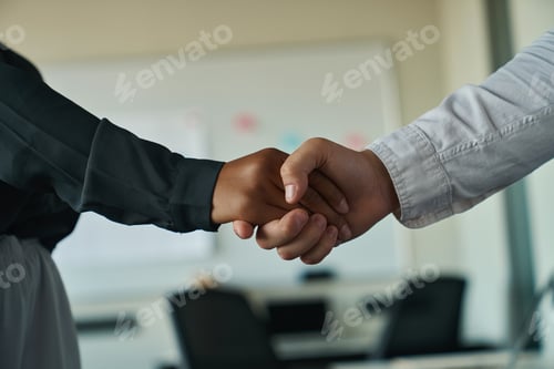Preview: Man and woman shaking hands in the office