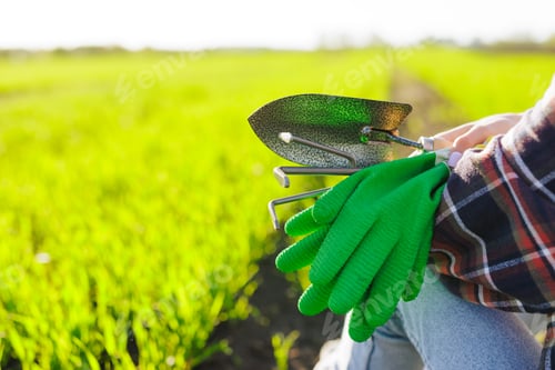 Preview: hands of an agronomist or farmer on a background of a green field, successful agribusiness