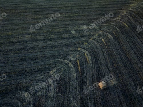 Preview: Hay Bales