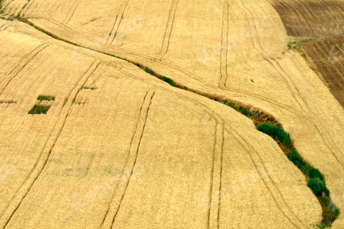 Preview: Landscape along the road from Termoli to Serracapriola, Southern Italy