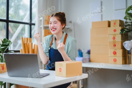 Preview: Asian female seller celebrating successful online sales with laptop and parcel boxes in warehouse