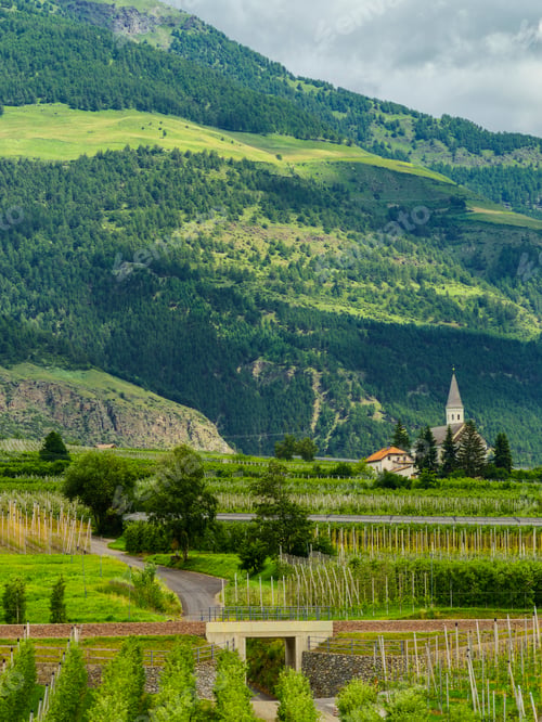 Preview: Summer landscape along the cycleway of the Venosta valley