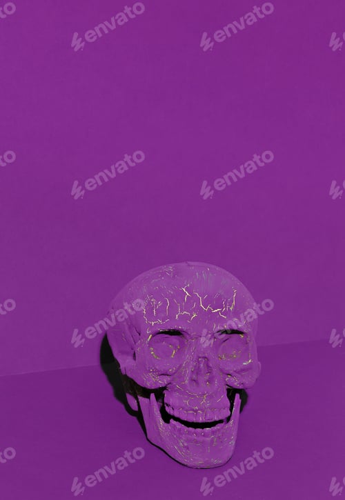 Preview: Purple skull on purple space. Minimal still life art. Halloween concept