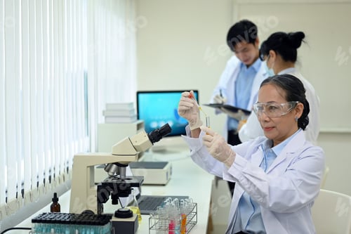 Preview: Senior woman researcher with test tube conducting experiment in a laboratory.