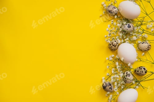 Preview: Easter background, various eggs on a yellow background, decorated with natural botanical elements,