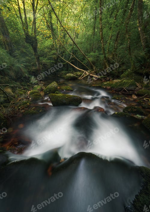 Preview: A stream jumps over several rocky steps on its way to a deciduous forest