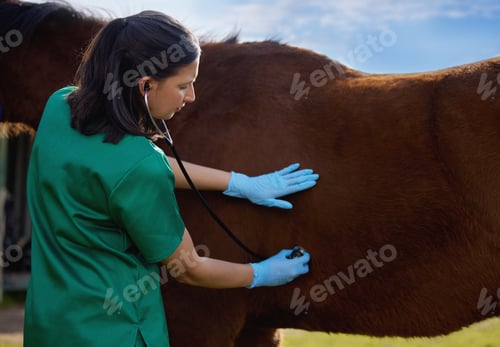 Preview: Shot of a young veterinarian doing a checkup on a horse on a farm