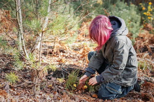 Preview: Girl with pink hair foraging mushrooms in autumn forest