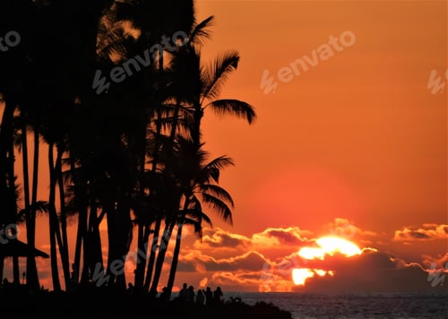Preview: Beautiful Tropical Sunset! NOMINATED!!