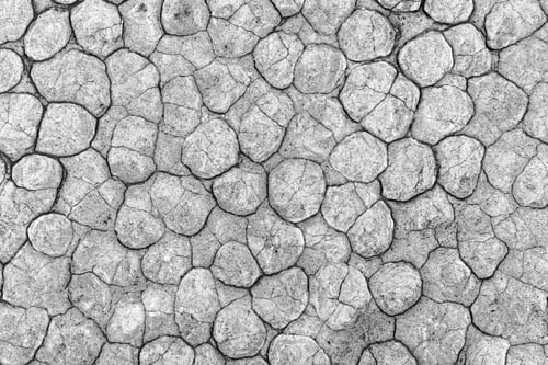 Preview: Cracked land texture close up