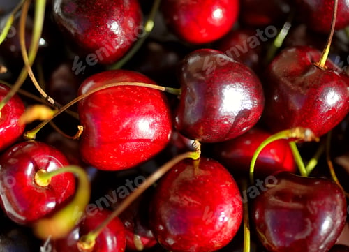Preview: Ripe red cherry close-up