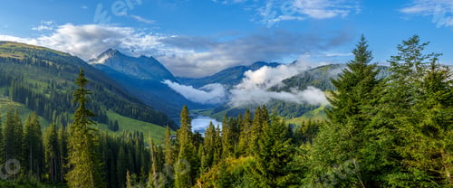 Preview: Mesmerizing landscape of mountain ranges and green forest covered by morning fog