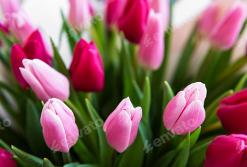 Preview: Beautiful tulips bouquet