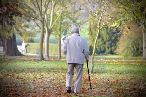 Preview: an elderly man with a walking stick strolling in the park in autumn