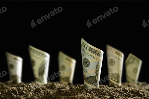 Preview: Bank notes on soil