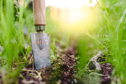 Preview: Gardening shovel in an orchard during the gardener's rest