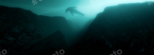 Preview: Rugged Landscape Terrain Underwater Dark Scene. Sea Lion Wildlife.