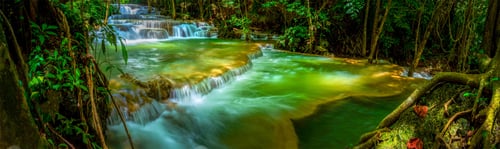 Preview: beautiful water fall and Leaf natural leaves and stream green forest in the mountain concept