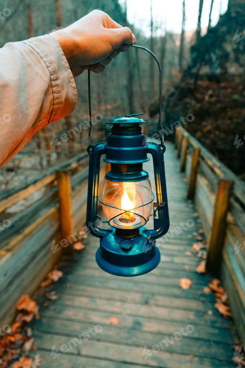 Preview: Blue lamp in foliage
