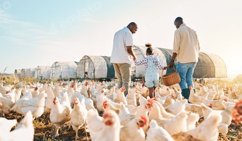 Preview: Happy, gay couple and holding hands with black family on chicken farm for agriculture, environment