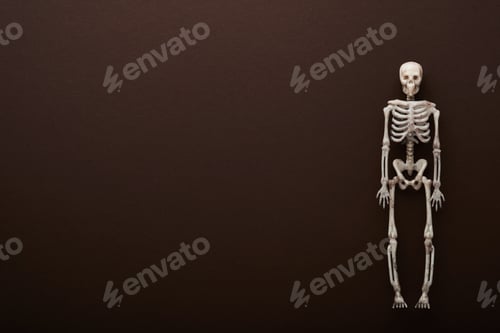 Preview: Halloween skeleton background. Black paper bat silhouettes on brown or dark background. Autumn decor