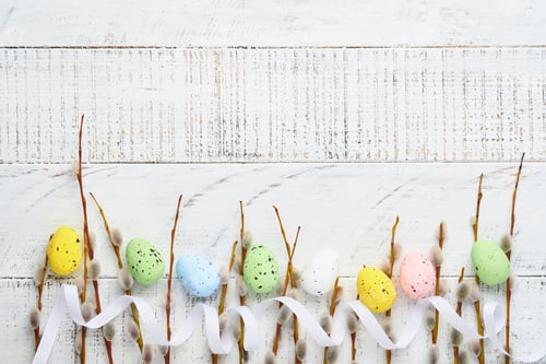 Preview: Pussy willows branches and Colorful easter gingerbread rabbit, eggs and chickens on white old wooden