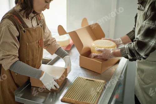 Preview: Caucasian Young Woman and Middle Aged Man Packing Cheese in Cardboard Boxes