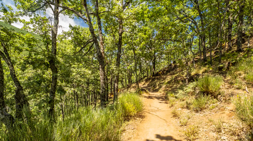 Preview: Garganta de los Infiernos Natural Reserve, Valle del Jerte, Spain