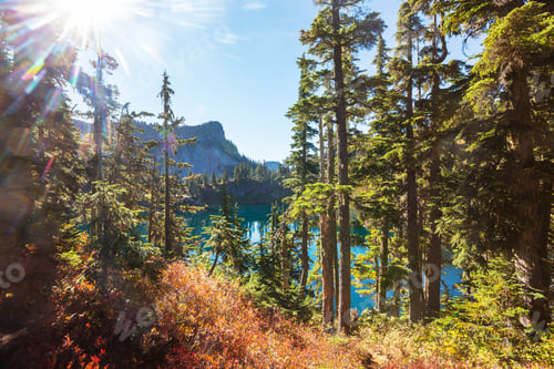 Preview: Mountains lake