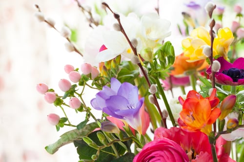 Preview: Colorful spring flowers