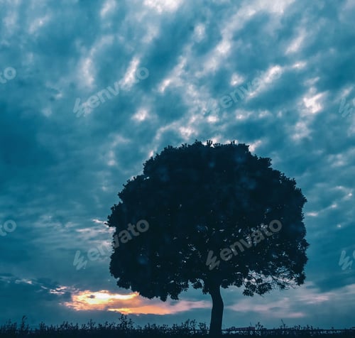 Preview: // all alone //