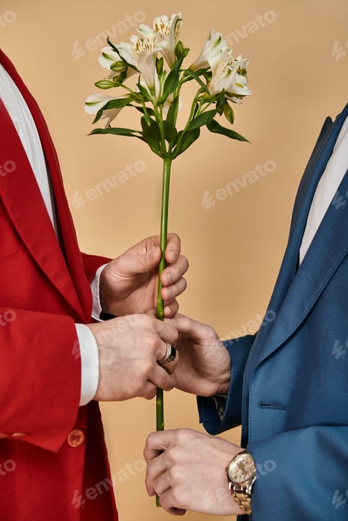 Preview: A Touch of Romance in Suits