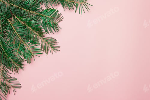 Preview: Christmas pink background with fir branch in the corner with copy space