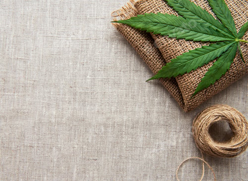 Preview: Cannabis leaves on the hemp textile background