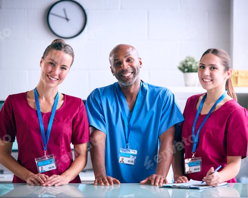 Preview: Portrait Of Male And Female Veterinary Team In Surgery