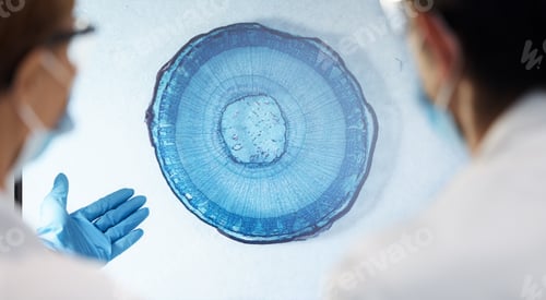 Preview: Bacteria, particles and closeup in lab for science with teamwork, discussion or analysis for health