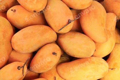 Preview: Travel to island Koh Lanta, Thailand. The ripe tasty yellow and green mango close up on a market.