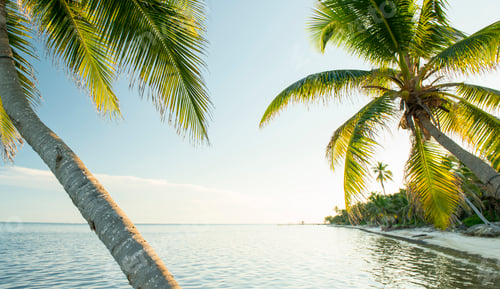 Aperçu: Caribbean Beach Belize