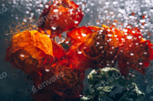 Preview: Bunch of beautiful faded flowers through the glass with rain drops