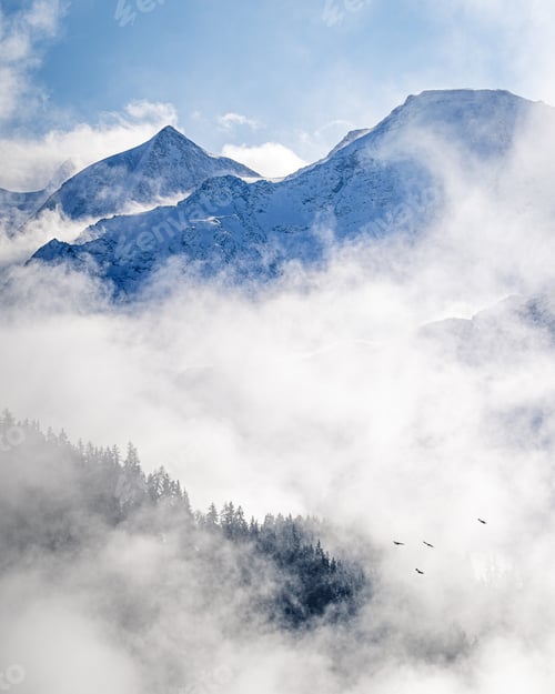 Preview: Vertical image of a scenic foggy landscape on alpine mountains with a few birds flying
